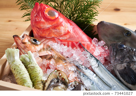 Assorted fresh fish Assorted fresh fish 73441027