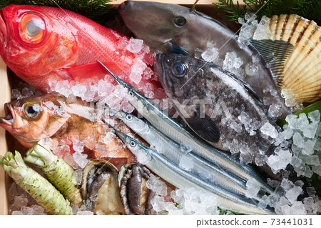 Assorted fresh fish Assorted fresh fish 73441031