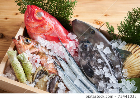 Assorted fresh fish Assorted fresh fish 73441035