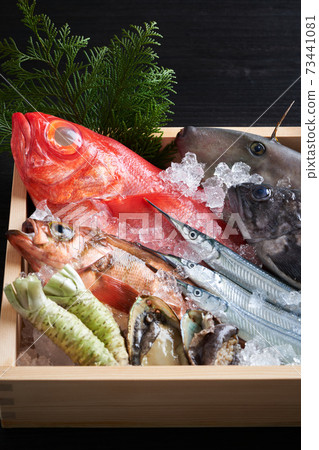 什錦鮮魚 73441081
