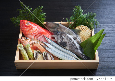 Assorted fresh fish Assorted fresh fish 73441206