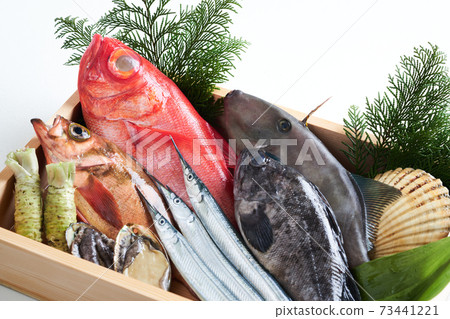 Assorted fresh fish Assorted fresh fish 73441221