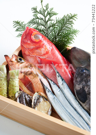 什錦鮮魚 什錦鮮魚 73441222