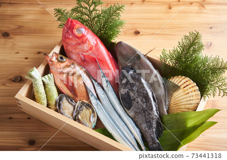 什錦鮮魚 73441318