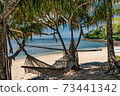 Beach hammock 73441342