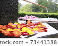 It grows like a flower blooming on the water's edge 73441388