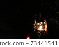 Light at night 73441541