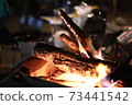 Heat source 73441542