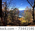 Superb view from the forest 73441546