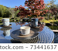tea time  73441637