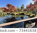 Fall in the pond 73441638