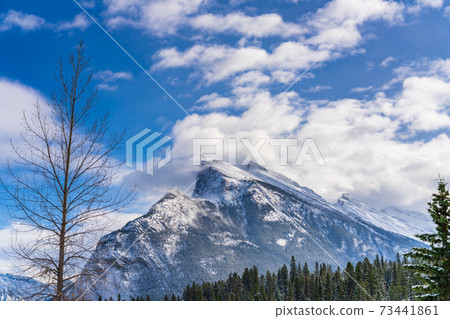 Close-up snow-covered Mount Rundle with snowy forest. Banff National Park beautiful landscape in winter. Canadian Rockies, Alberta, Canada. 73441861