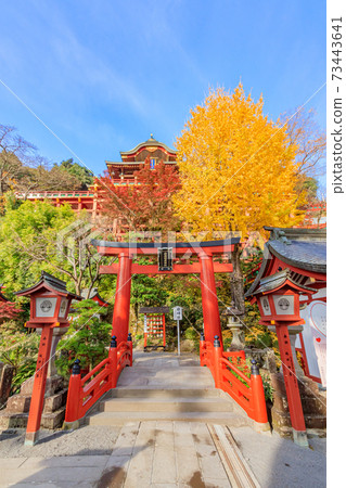 Yutoku Inari Shrine in Autumn, Kashima City, Saga Prefecture 73443641