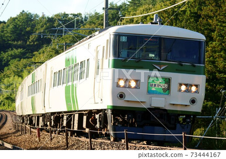 夕陽下前往橫濱的特快“ Hamakaiji”（185系列200系列） 73444167