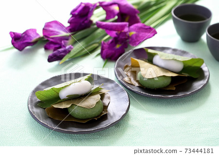 Kashiwa mochi, iris, Tango no sekku 73444181