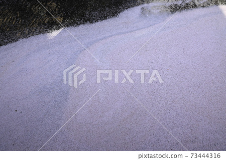 目eg區櫻花地毯 目eg區櫻花地毯 73444316