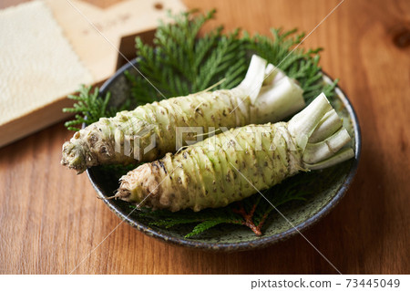 Aoi Motoyama from Shizuoka Prefecture 73445049