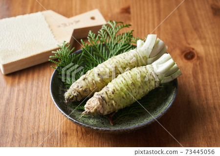 靜岡縣青山本 73445056