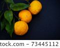 It's the season when the fruits of Yuzu turn yellow. 73445112
