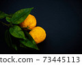 It's the season when the fruits of Yuzu turn yellow. 73445113