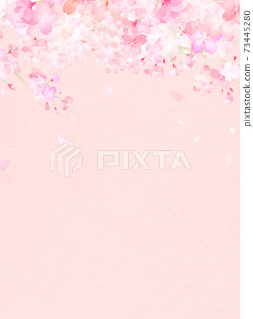 Cherry blossom background-there are multiple variations 73445280