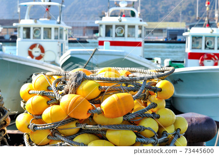 After finishing the Mochimune fishing port Shirasu fishing After finishing the Mochimune fishing port Shirasu fishing 73445600