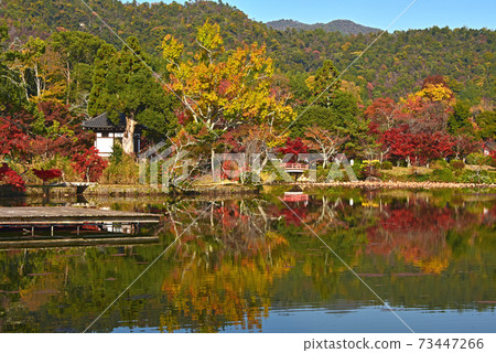 Autumn leaves in Kyoto Daikakuji Temple Osawaike 73447266