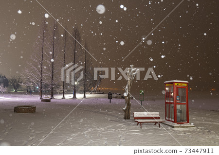 Snowy day scenery 73447911