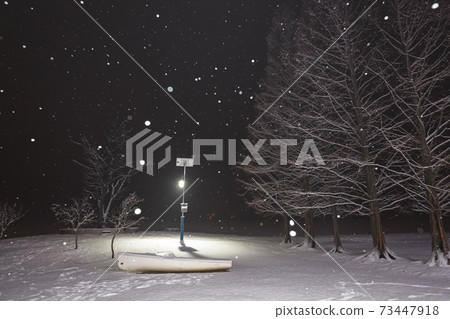 Snowy day scenery 73447918