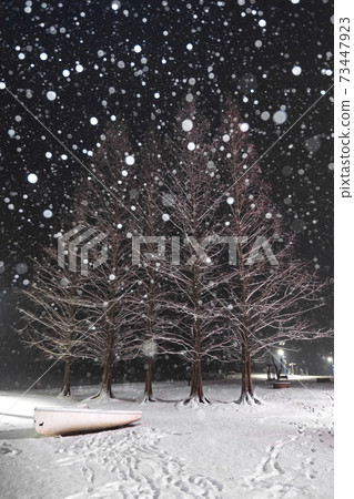 Snowy day scenery 73447923