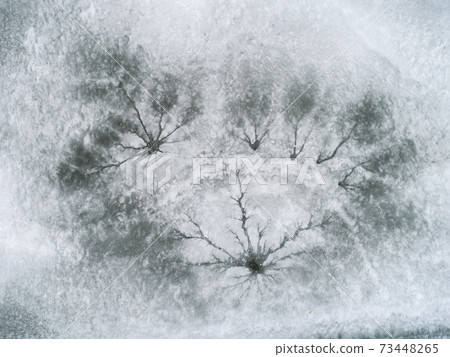 Winter ice pattern 73448265