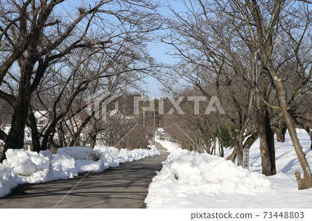 Ara-zaka with snow (Awara City, Fukui Prefecture) Ara-zaka with snow (Awara City, Fukui Prefecture) 73448803