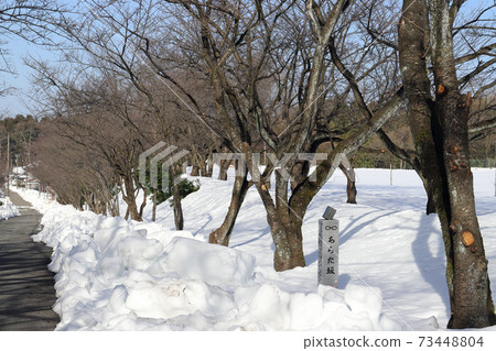 Ara-zaka with snow (Awara City, Fukui Prefecture) Ara-zaka with snow (Awara City, Fukui Prefecture) 73448804