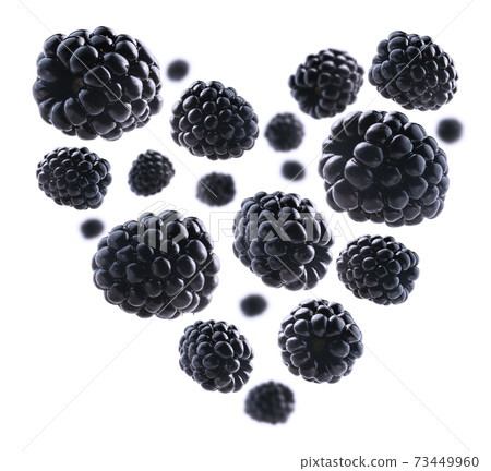 Blackberries in the shape of a heart on a white background Blackberries in the shape of a heart on a white background 73449960
