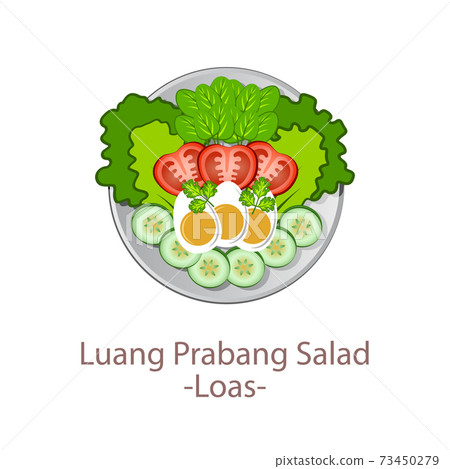 top view of popular food of ASEAN national,Luang Prabang Salad,in cartoon 73450279