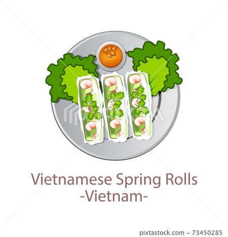 top view of popular food of ASEAN national,Vietnamese Spring Rolls,in cartoon top view of popular food of ASEAN national,Vietnamese Spring Rolls,in cartoon 73450285