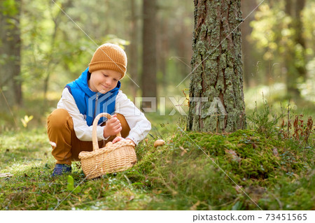 happy boy with basket picking mushrooms in forest happy boy with basket picking mushrooms in forest 73451565