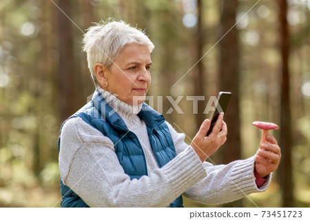 senior woman using smartphone to identify mushroom senior woman using smartphone to identify mushroom 73451723