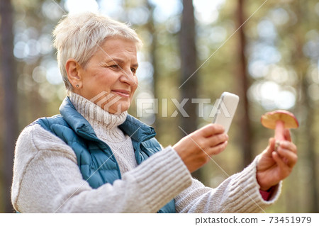 senior woman using smartphone to identify mushroom senior woman using smartphone to identify mushroom 73451979