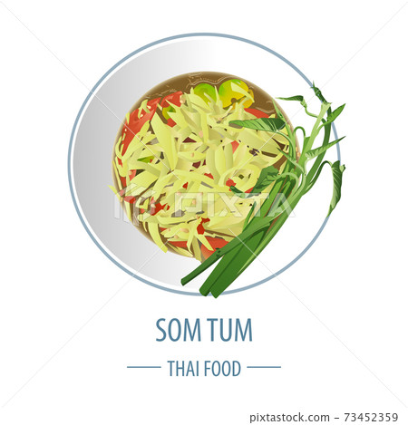 Papaya salad or Som tum famous Thai food,realistic with top view style 73452359