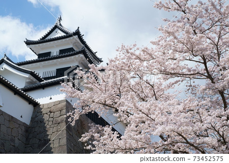 Shirakawa Komine Castle, Fukushima Prefecture Mie turret and Yoshino cherry tree 73452575