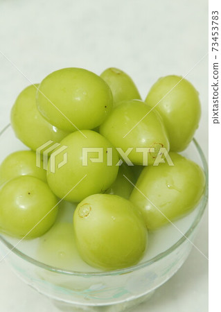 馬斯喀特 73453783