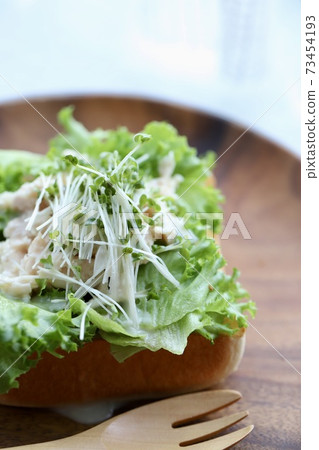 Lettuce, sprouts and chicken toast arrangement 73454193
