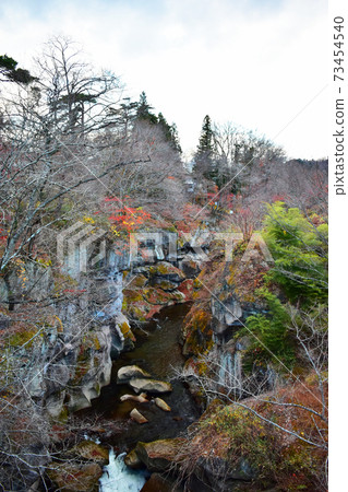 Rairaikyo Gorge and autumn leaves 73454540