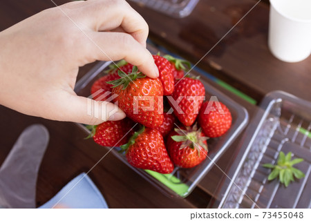 紅色成熟的草莓 73455048