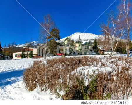 Traditional house in Stary Smokovec. Slovakia 73456383