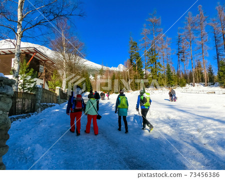 Traditional house in Stary Smokovec. Slovakia 73456386