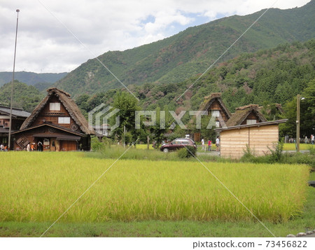 Thatched roof house 73456822