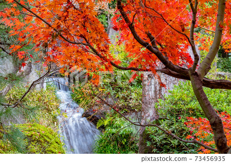 紅葉花園 73456935