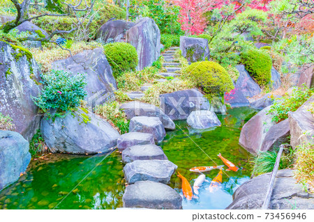 美次郎花園的風景 73456946